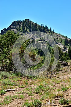 Warner Mountains, Modoc County, California