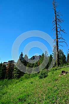 Warner Mountains, Modoc County, California