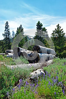 Warner Mountains, Modoc County, California