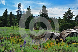 Warner Mountains, Modoc County, California