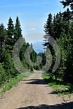 Warner Mountains, Modoc County, California