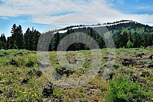 Warner Mountains, Modoc County, California