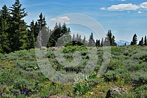 Warner Mountains, Modoc County, California