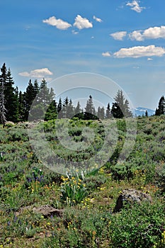 Warner Mountains, Modoc County, California