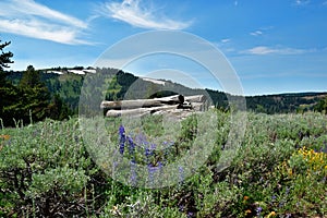 Warner Mountains, Modoc County, California photo