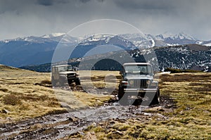 Warngler Jeeps on mountain top