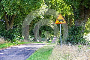 Warning - cattle - road sign standing on the roadside. Empty street ahead.