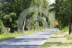 Warning - cattle - road sign standing on the roadside. Empty street ahead.Blank road sign standing on the roadside. Empty street a