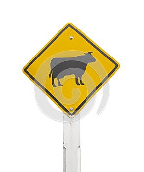 Warning Cows icon yellow road sign on white