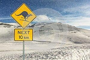 Kangaroo Skiing