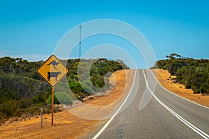 Warning kangaroos and cows sign on Australian bush road near Billa Bong Roadhouse