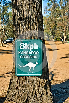 Warning for kangaroos crossing the road, Australia