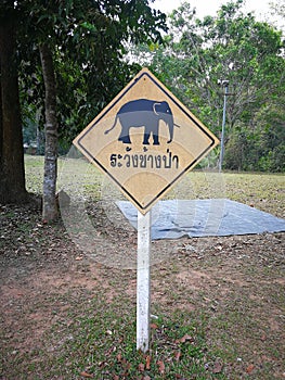 warning plate and Thailand language in photo mean & x22;warning elephants