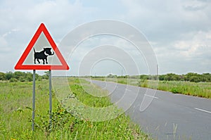 Warning of road sign - warthogs on the road