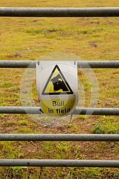 Warning Sign Bull in field, Yellow triangle with bull head symbol on white