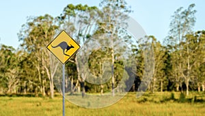 Warning sign caution kangaroos set near the forest. You can meet wild animals in this place