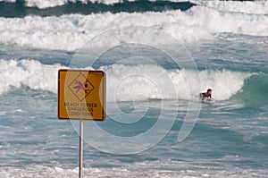 Warning sign of closed beach with person surfing rough waves on the background