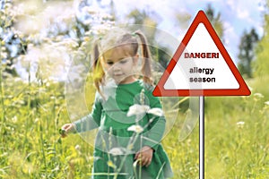 Warning sign: danger allergy season. a little girl in a blue dress walks along the field with flowers on a sunny summer day