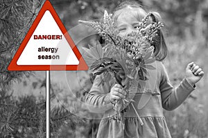Warning sign: danger allergy season. little girl in the woods with a bouquet of lupins