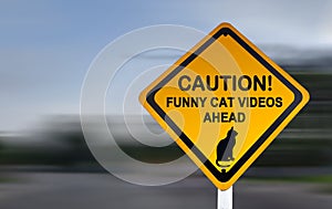 Warning sign for funny cat videos - funny road sign