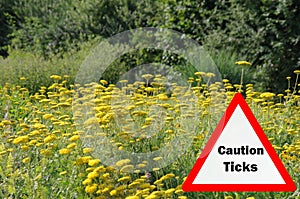 Warning sign for infected ticks in a forest. Risk of tick and Lyme disease.