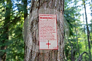 Warning sign at Kootenai Falls park, cautions visitors not to swim in the dangerous river