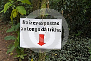 Warning sign in portuguese that says: Roots exposed along the trail