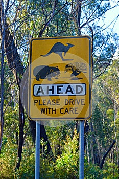 A warning sign posted for animal protection in Australia