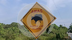 Warning sign on the road in malaysia. This sign is used to warn drivers of dangerous animals crossing road.