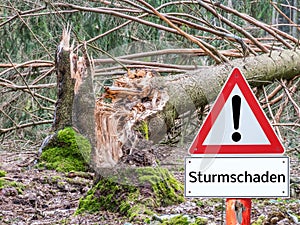 Warning sign Storm Damage tree in german