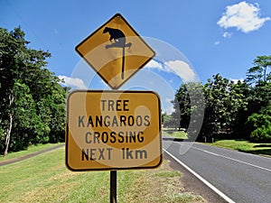 A warning sign to motorist that there may be rare tree kangaroos crossing the road