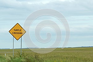 Warning sign turtle crossing along the road