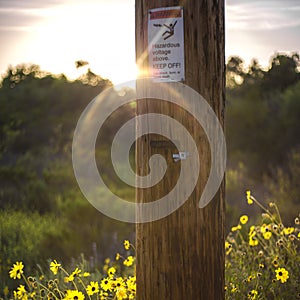 Warning sign on wooden electricity pole sunset