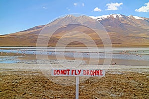 Warning Signpost at Lake Hedionda in Bolivian Altiplano with a Flamboyance of Pink Flamingos Grazing, Potosi Department of Bolivia