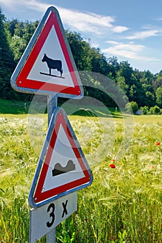 Warning traffic signs - cows cattle crossing the road and speed bumps ahead