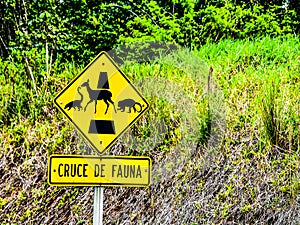 warning wild animals sign on road, in costa rica central america photo