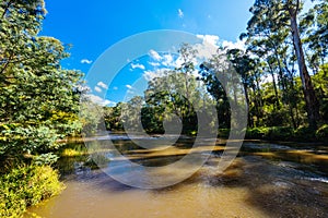 Warrandyte River Reserve in Melbourne Australia