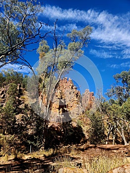 Warren Gorge, South Australian Flinders Ranges