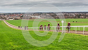 Warren Hill Newmarket England Racehorse Training