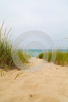 Warren Sand Dunes in Michigan