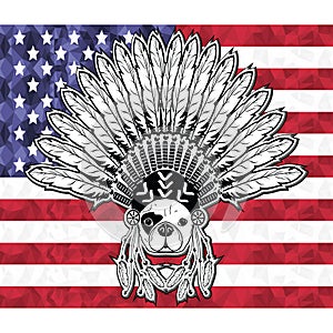 Warrior style French bulldog with tribal Headdress with plain feathers in white and black symbolizing native American people and photo