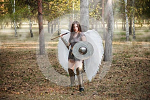 warrior woman in chain mail with steel bracers and greaves and wings behind her back, holding a spear and a shield.