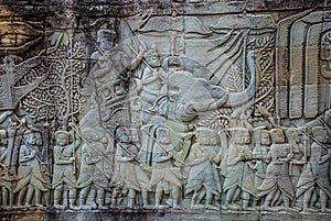 Bojovníci a sloni na stěny z 