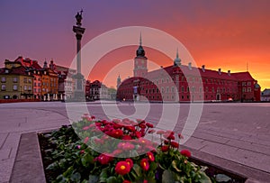 Warsaw. Castle square in Old town