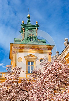 Warszawa, Poland - April 18: Focus on View of the central facade of the Royal Wilanow Palace. Spring in the park