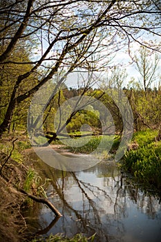 Warta river, Poland photo