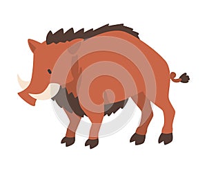 Warthog African Animal, Wild Herbivore Jungle Animal Cartoon Vector Illustration photo