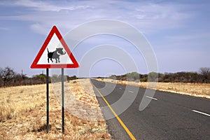 Warthog crossing sign on namibian road