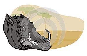 Warthog with safari background