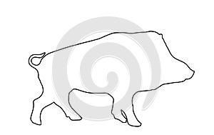 Warthog vector line contour silhouette illustration isolated on white background. Bush Pig. Wild boar symbol. Boar isolated.